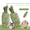 1 PC Rabbit Water Grass Radish Toys Natural Molar Molar Molar Toy Supplies para Chinchilla de Pig.