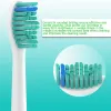 Têtes de brosse à dents de remplacement Compatible avec Philips Sonicare Electric Brosses HX6530 HX9340 HX6930 HX6710 HX9140 HX6921