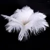 装飾的な花20 xナチュラルダチョウの羽25-30cm白い装飾のお祭り