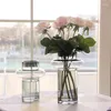 Вазы легкий роскошный круг прямой стеклянный ваза гостиная спальня цветочные композиции