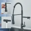 Rozin Black Kitchen Robinet printemps 360 ﾰ Tirez vers le bas du pulvérisateur Bouxage à eau froide chauffée Tap de terrasse à double bec de buse Robinets Crane