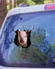 Adesivos de parede Creative Pig Crack Car Starther Horse Dog Animais Pet Funny Puppy Home Decora