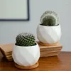 Vases Créative et unique en céramique Flowerpot ananas en forme de diamant