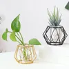 Vases Mini Geometric Glass Flower Pot avec support métallique