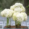 Hurricane Candle Holder per voti pilastri che galleggiano candele, vasi fioriti in vetro trasparente per la decorazione della festa di nozze