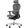 Эргономичное офисное кресло с высоким задним столом стул 3D Mesh Office Compult Computer Computer для домашнего офиса играю комфортную мебель