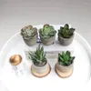 Flores decorativas Plantas artificiais em vasos - mini conjunto falso de 6 pequenas plantas domésticas internas para a mesa de mesa de prateleira decoração de mesa