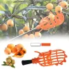 Panier de jardin Picker Fruit Head Multi-couleur Plastique Fruit de cueillette Catcher d'outil d'agriculture Bayberry Jujube Supplies