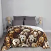 Coperte orso coperta decorazione in flanella abbraccio coccoloso per casa portatile