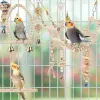 Wooden Bird Parrot Cage Toys Bird Stand Perch Hanging Chewing Bite Toy Combo Set Bird Training Bridge Toy Bird Cage Accessories