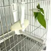 Conuure Parkeet Cage Accessoires Végétable Plastic Small Animals Perrot Feeder Crostbone Clip Bird Food Holders Officeding Blamp
