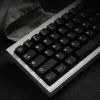 Tillbehör 121 Keys/Set Black White Grey KeyCaps ABS Double Shot Lightproof Key Caps Cherry Profile WOB Bow KeyCap för MX Switch Tangentboards