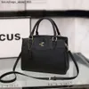 Factory Crossbody Torba sprzedaż bezpośrednia 80% zniżka 2024 Spring Classic Torba na zakupy wszechstronne torebka mody crossbody