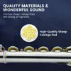 Beginner C Flute with 16 Closed Hole Keys - Perfect for Kids and Students - Includes Cleaning Kit, Case, Stand, Joint Grease, Tuning Rod, Gloves - Nickel/Gold Finish