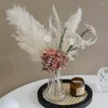 Fleurs décoratives Pampas séchés décor d'herbe Préservé Gypsophile Bouquet moderne Real Plant Home Wedding Gifts