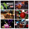 Accessories Bokeh Masters Kit Effect Lens Cap Cover Filter for Artistic Romantic Night Scene Photography for Canon Nikon Yongnuo Lenses