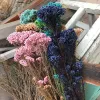 60g / longueur 30 ~ 40 cm Natural Fresh Ramillete Flores Eternell Millet Fleur, Beauty Forever Flowers Bouquet pour Farmhouse Home Decor