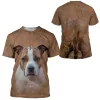 HX Hayvanlar Erkek Tişörtleri Avustralya Sığır Köpek Ön Arka 3d Baskılı T-Shirt Kadın Günlük Gömlek Yaz Kısa Kollu Tees