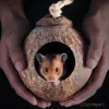 Cage de noix de coco naturel pour animaux de compagnie Cage pour animaux de compagnie pour hamster Guinée Pig Squirrel Maison en bois pour le nid de petit animal pour rongeur de rat