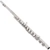 Jean Paul USA Silver Plated Flute (FL -220) - Profesjonalny instrument jakości dla graczy pośrednich i zaawansowanych, elegancki design i bogaty ton