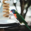 Otros suministros de aves colgantes colgantes de juguete Puertas de soporte de loros para jaulas accesorios cable de bungee