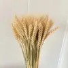 Decorative Flowers 50Pcs Real Wheat Ear Natural Dried Christmas Decorations 2024 Halloween Artificial Wholesale Bridal Wedding Bouq