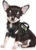 Odzież dla psów bez ubrania z wiązką zwierząt domowych Regulowana kota szczenię