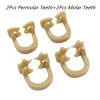 2/4Pcs Dental Sectional Contoured Matrix Rubber Dam Clamps Rubber Barrier Clip Resin Material Dentist Tools Dentistry Product