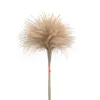 Flores decorativas Pampas Decoración de hierba seca con jarrón de plástico Feather natural Fluffy Bunch Home