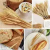 Decorative Flowers Natural Dried Wheat Ears Bouquet For Shop Openning Decor Wedding Home Plants Stalks Pampas Living Room Autumn Decoration