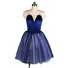 Stage Wear Stretch Velvet Ballet Costume With Nude V Neck Long Romantic Tutu Dress For Girls And Women Show 3 Color Availabe 20137