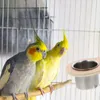 Altre forniture per uccelli 2 pezzi tazza d'acqua Trought alimentatore pappagallo alimentare ciotola per alimenti bere bicchieri in gabbia stoccata