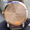 AP Diving Wrist Watch Mens Automatic Machinery 18K Rose Gold Dynamic Storage montre