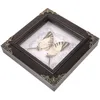 Frames Butterfly Specimen PO Frame Affichage de décoration vintage Picture de décoration mural suspendu insecte de style occidental bricolage