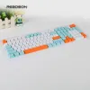 Tangentbord OEM KeyCaps 113 Keys Salmon White Blue Orange ABS Double Suit For 61 87 104 Keys Layout Mechanical Tangentboard ISO GK61 AKKO