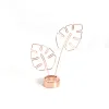 Rose Gold Turtle Back Leaf Sticky Note Clip INS Minimalism Leaf Vein Messege Stander Metal Photo Stander Desktop Decor