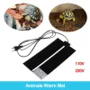 Minco Heat per incubatore Aquarium Reptile Calza Coppa elettrica PET ELETTRICA con tampone elettrica con plug US US 110V 220V 5 ~ 45W