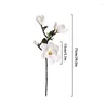 Fiori decorativi 75 cm Touch reale Magnolia Fiore artificiale 3 teste Pu White Wedding Home soggiorno decorazione da giardino decorazione balcone falsa