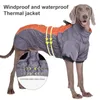 Hondenkleding winter groot ras parka's verstelbare nek reflecterende waterdichte jas hoog kraagjasje met tractie gesp