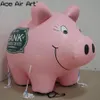 6 ml (20ft) met blazer opblaasbare kleur varken opblaasbare piggy bank met aangepast logo voor gebeurtenis of promotie