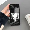 ALBANIA FLAG EAGLE THELLE CASE pour iPhone 14 Pro Max 15 12 11 13 MINI XR XS 8 7 6 PLU