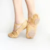 Dance Shoes Girls Kids Pointe Slippers High Quality Ballerina Practice For Ballet