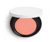 Epack topkwaliteit merk Silky Blush Powder 9 Colors Makeup Palette 2G Fard A Joues Poudre SojaEuse9215858