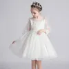 Girl Dresses Girls 'Dress 2024 Korean version Puffy kjol barns baby prinsessa piano performance vår