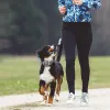 自動barえる犬の襟barkproof襟barkストッパーデジタルディスプレイUSB充電式トレーニングカラー犬用