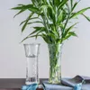 Vases Tall Terrarium Vase Jar Plant Nordic Style Table Flower Pots Hydroponics Transparent Decoracion Para El Hogar Home Decor