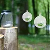 Candle Holders 10 Pcs Makeup Hanging Glass Globes Terrarium Container Holder Cone Stands Succulent Tealight Ball