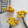 Decorative Flowers Natural Preserve Yellow Billy Button Balls Dried Bouquet Plant For Wedding Decor Home Party Flower Flores Arrangement