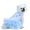 Hondenkleding Kleine kanten Chiffon Jurk Fashion Fashion Fashion Puppy Wedding Leuke zomer huisdier kostuum blauw paars roze