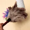 Dusters de plumas Ostrich Duster con madera de mango largo Cepillo Polvo electrostático Accesorios de limpieza para el hogar Herramientas de limpieza de polvo